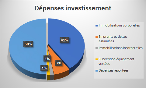 dépenses investissement