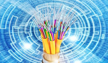 fibre
