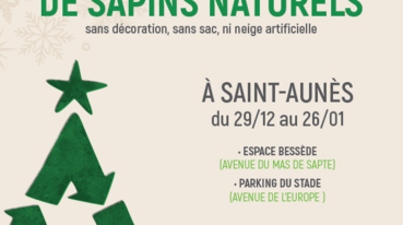 Donnons une seconde vie à nos sapins !
